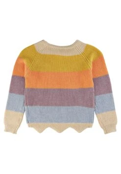 Tnolly - Trui - Multi Coloured -Modex Winkel 1a8eb0a6770a4a0e87fab6443694344f