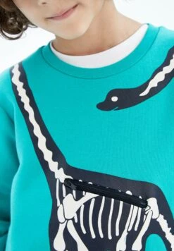 DeFacto Regular Fit- Sweater - Turquoise 7 DeFacto Regular Fit- Sweater - Turquoise -Modex Winkel 1abbe60cfe7d4743be20040d1dd47ddb