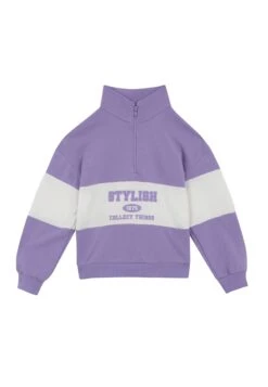 DeFacto Pullover - Sweater - Purple