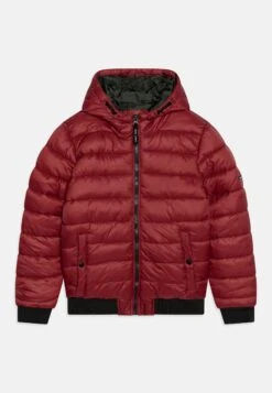 Pepe Jeans Alexander - Winterjas - Burgundy