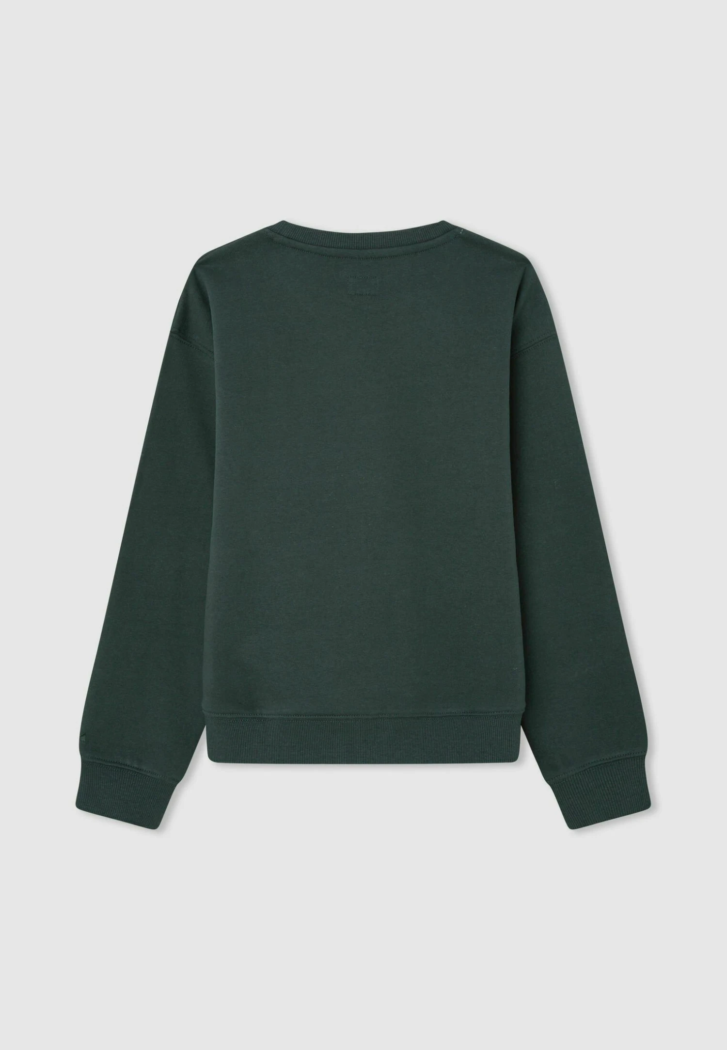 Pepe Jeans Winter Rose - Sweater - Green 2 Pepe Jeans Winter Rose - Sweater - Green - Afbeelding 2
