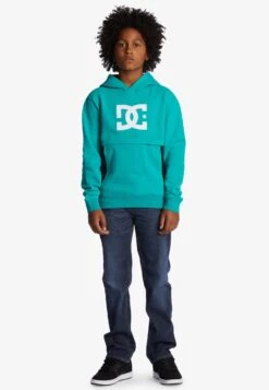 DC SHOES Bandwidth - Hoodie - Columbia