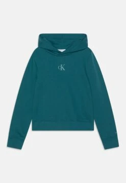Calvin Klein Jeans Logo Boxy Hoodie - Sweater - Atlantic Deep