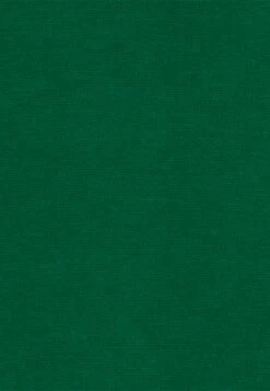 Seidensticker Rose - Trui - Green -Modex Winkel 5844db0dd7784c46a22700f46ca3c0df