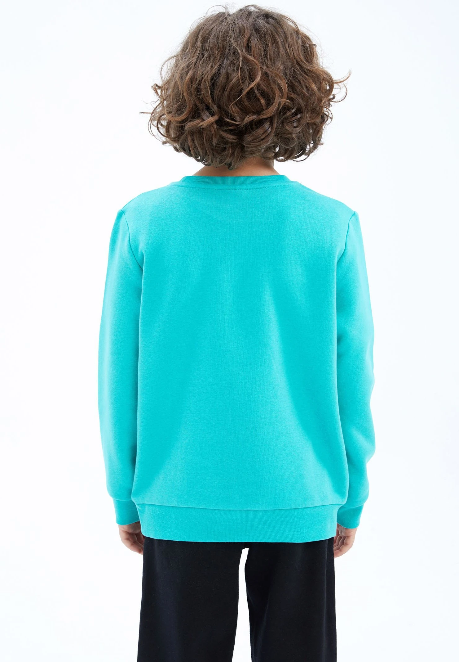DeFacto Regular Fit- Sweater - Turquoise 3 DeFacto Regular Fit- Sweater - Turquoise - Afbeelding 3