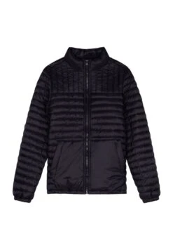 TEDDY SMITH Jas - Bleu Dark Navy