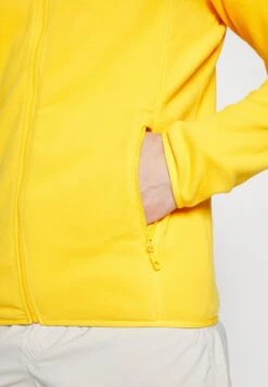 The North Face Glacier Full Zip - Fleecejas - Summit Gold -Modex Winkel 8987d838fb2844dfaf802e70e0ac8c80