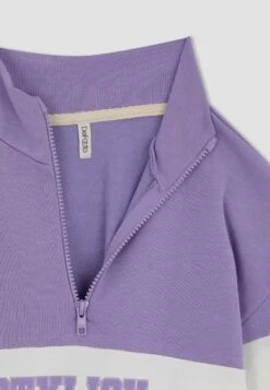 DeFacto Pullover - Sweater - Purple 5 DeFacto Pullover - Sweater - Purple -Modex Winkel 993b1f99239b48f7ba22870866ce19b0