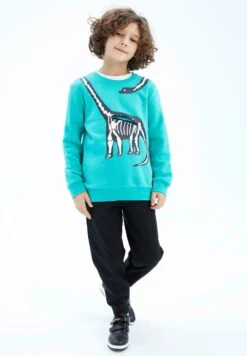 DeFacto Regular Fit- Sweater - Turquoise