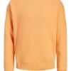 Jack & Jones Jjestar BasicCrew Neck Noos - Sweater - Pumpkin