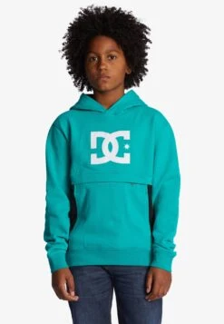 DC SHOES Bandwidth - Hoodie - Columbia -Modex Winkel b60ee3e6c922402e968ce8a91331da9b