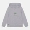 Lacoste Sweater - Silver Chine