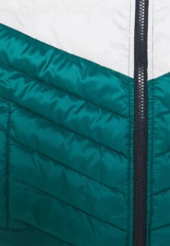 Jack & Jones Junior Jjehero Puffer Hood - Winterjas - Storm White/Navy -Modex Winkel db5155ca4d754adcbbbccbb945384cdc