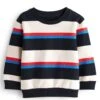 Next Stripe Long Sleeve Standard - Trui - Navy And White