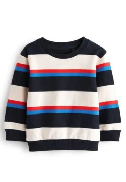 Next Stripe Long Sleeve Standard - Trui - Navy And White