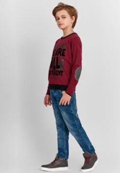 Gulliver Trui - Bordeaux